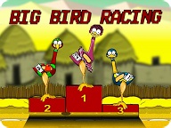 Platform R Racing 2 Bird Big Bird Racing