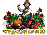 Диво ферма